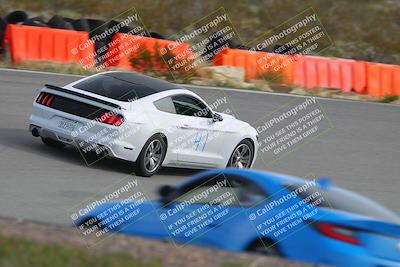 media/Feb-25-2024-Touge2Track (Sun) [[ed4a1e54f3]]/Green/Morning session/Bowl/